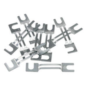 Sealey 100A Fuse 99 x 20mm, Large - Pack of 10 (120/802131)