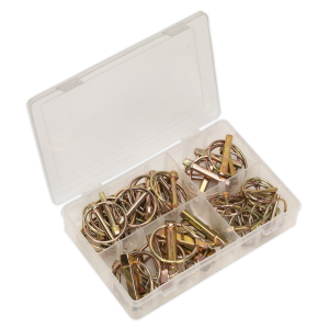 Sealey Linch Pin Assortment 50pc (AB022LP)