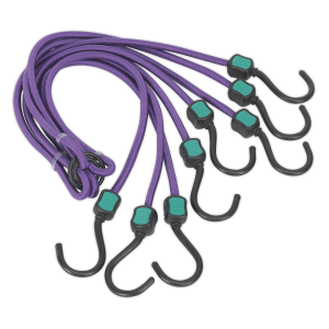 Sealey Octopus Bungee Cord 1000mm (BCS23)