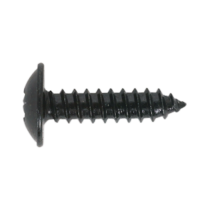 Sealey Self-Tapping Pozi Flanged Head Screw 4.8 x 13mm, Black - Pack of 100 (BST4813)