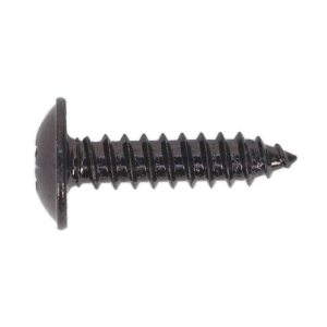 Sealey Self-Tapping Pozi Flanged Head Screw 4.8 x 19mm, Black - Pack of 100 (BST4819)