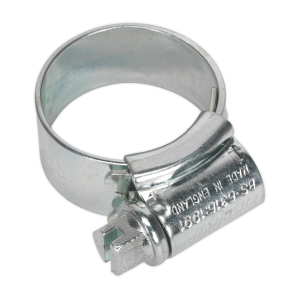 Sealey HI-GRIP® Zinc Plated Hose Clip 14-22mm - Pack of 30 (HCJ0)