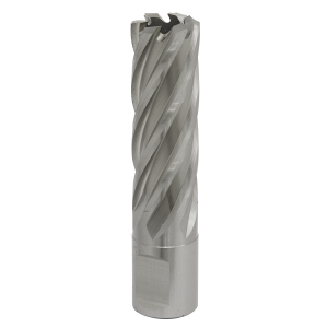 Sealey Worksafe® 19mm HSS Mag Drill Bit Cut Depth 50mm (RBHSS19L)