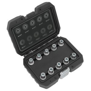 Sealey Locking Wheel Nut Key Set for BMW & Mini 10pc (SX208)