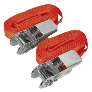 Sealey Self-Securing Ratchet Straps 25mm x 4.5m 500kg Breaking Strength - Pair (TD05045E)