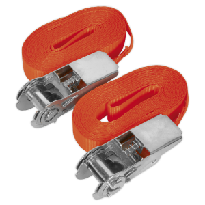 Sealey Self-Securing Ratchet Straps 25mm x 4.5m 800kg Breaking Strength - Pair (TD08045E)