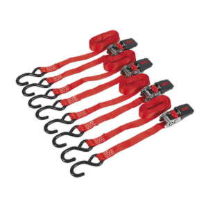 Sealey Ratchet Strap Polyester Webbing with S-Hooks 25mm x 4m 800kg Breaking Strength - 2 Pairs (TD484SD)