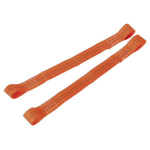 Sealey Tie Down Securing Loop - Pair (TDL01)