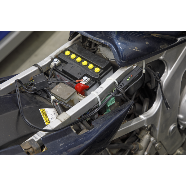Sealey 12V Ring Terminal Battery Indicator Cable (BCC2) - Image 5